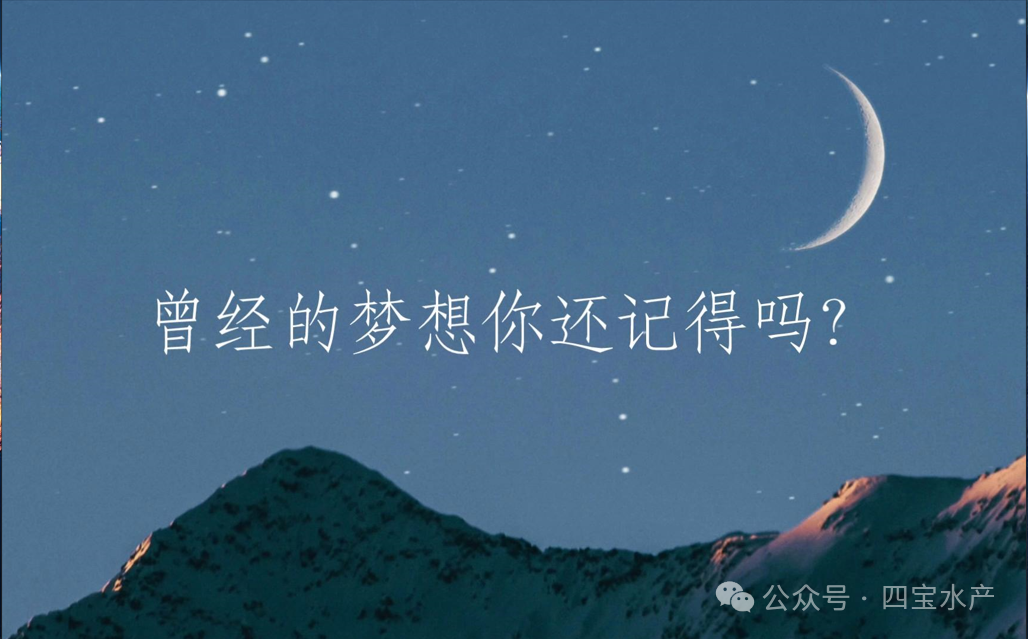 努力的意义(图5)