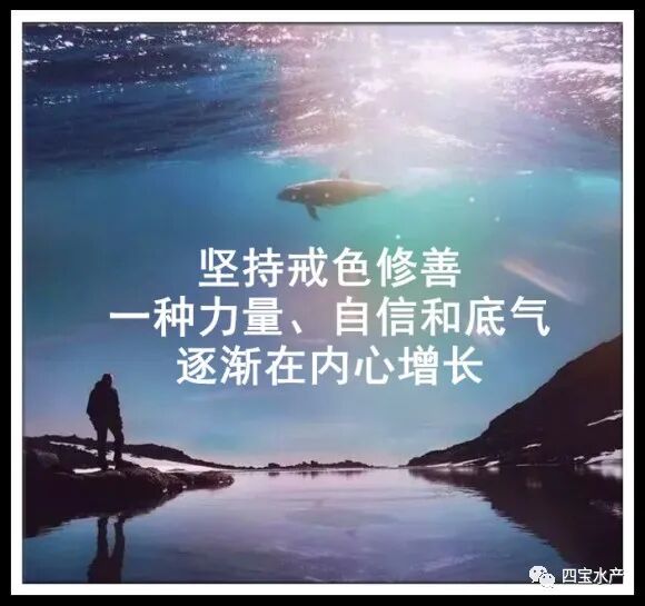 亲爱的儿子，色情会毁掉你的一生(图6)