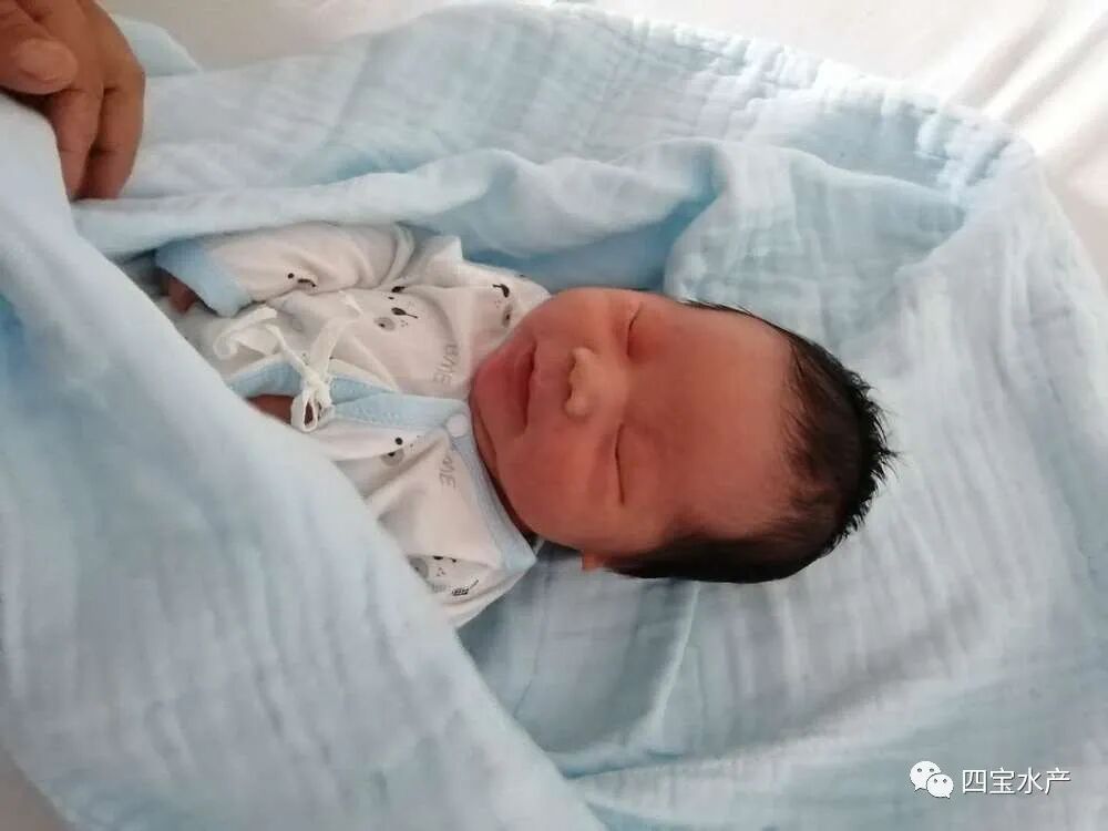 生了，母子平安，感谢大家的关心。(图2)