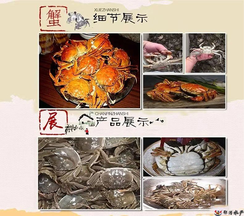 4公螃蟹(图3)