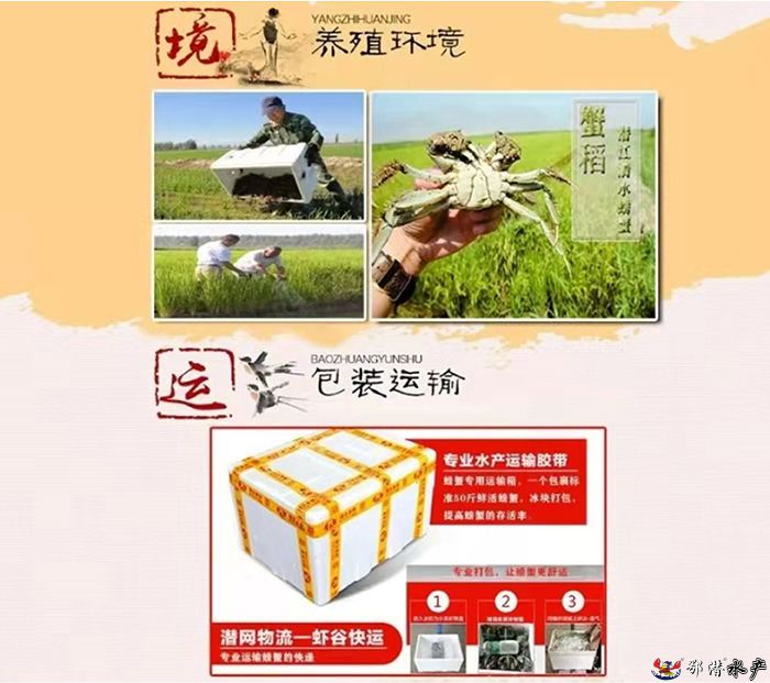 35公螃蟹(图4)