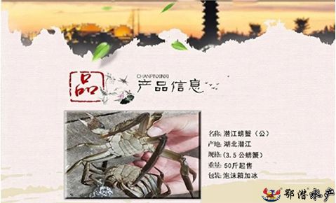 35公螃蟹(图1)