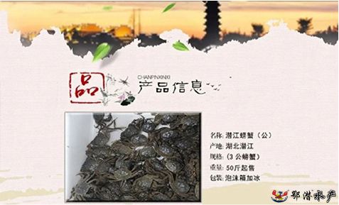 3公螃蟹(图1)