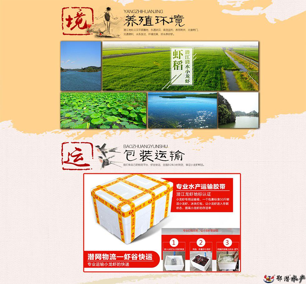 4-6中红(图5)