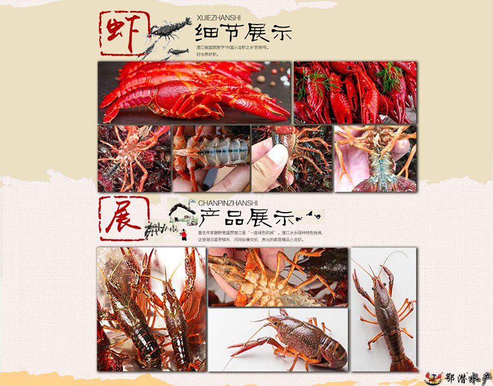 2-4小红(图3)