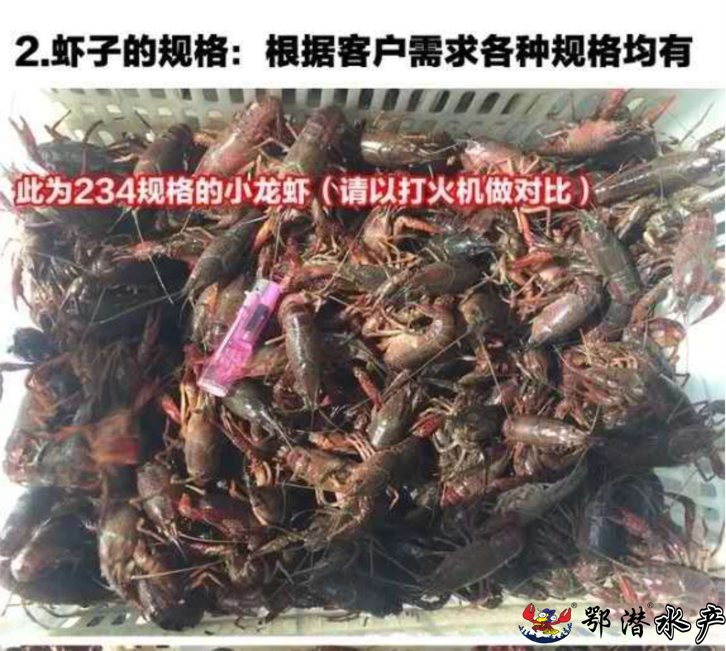 2-4小红(图2)