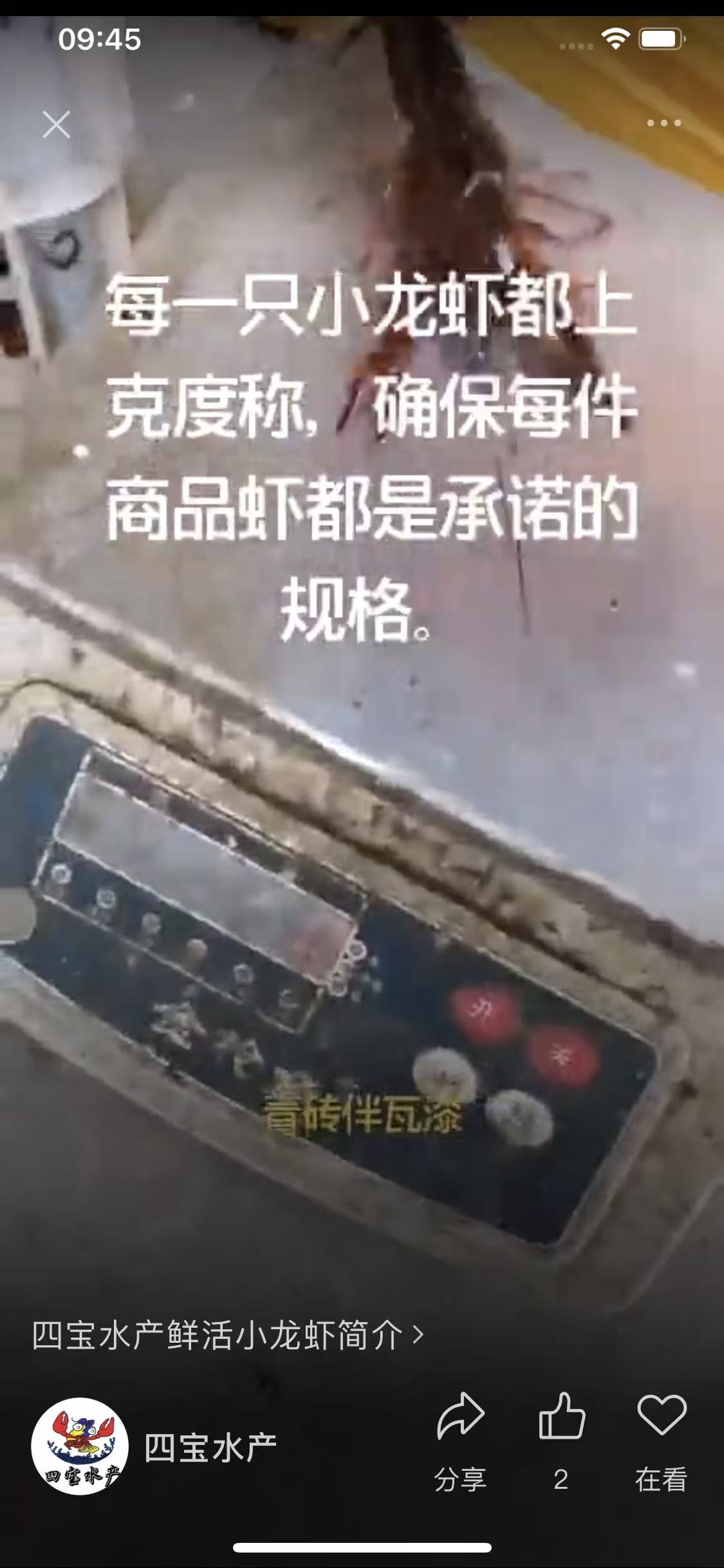 潜江小龙虾(图3)