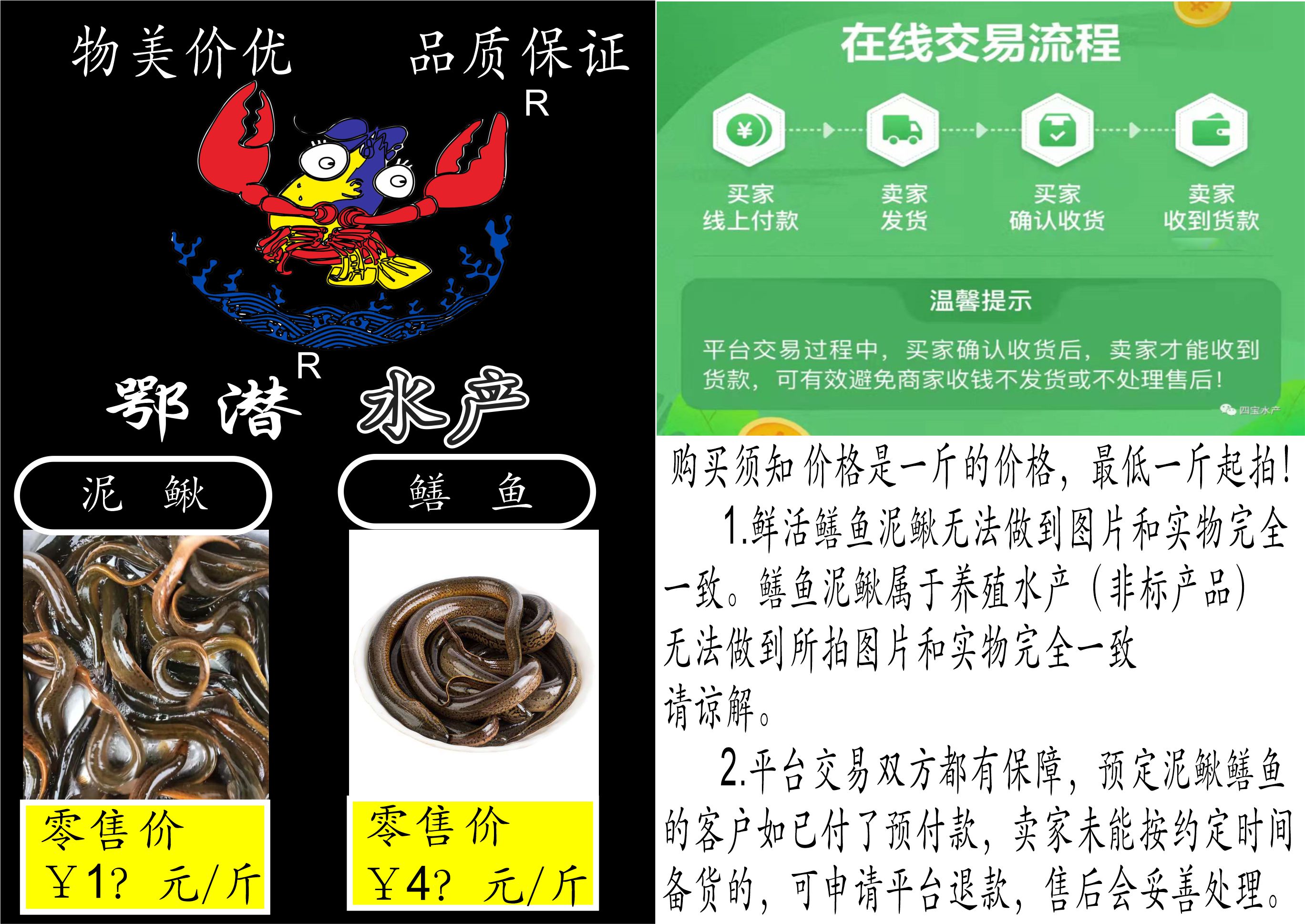鳝鱼