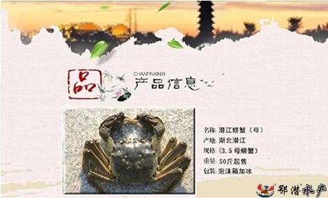 35母螃蟹(图1)