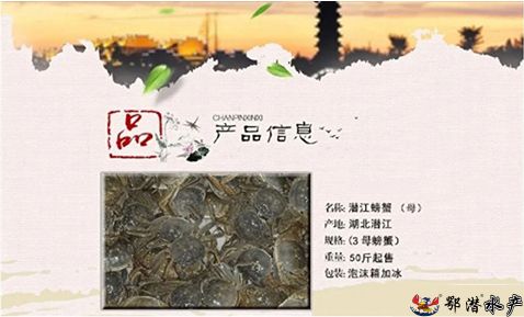 3母螃蟹(图1)