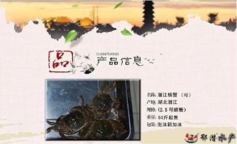 25母螃蟹(图1)