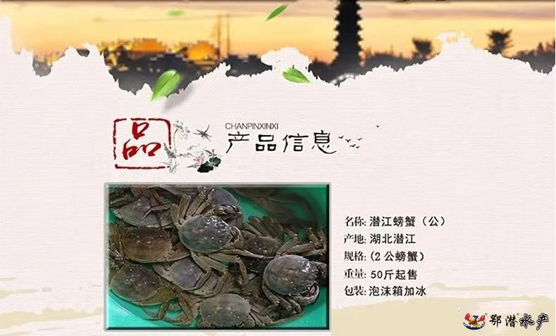 螃蟹(图2)