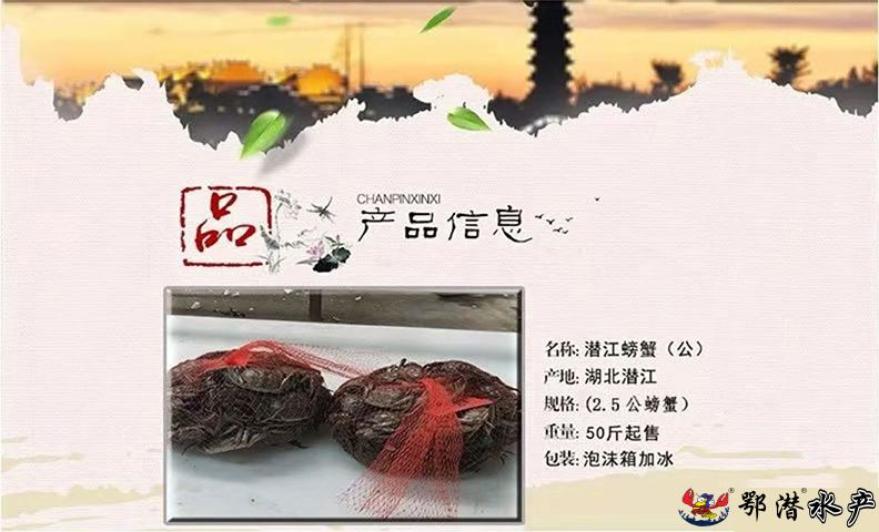 螃蟹(图3)