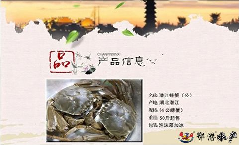 螃蟹(图6)