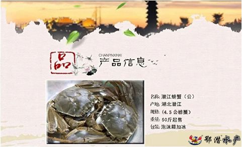 螃蟹(图7)